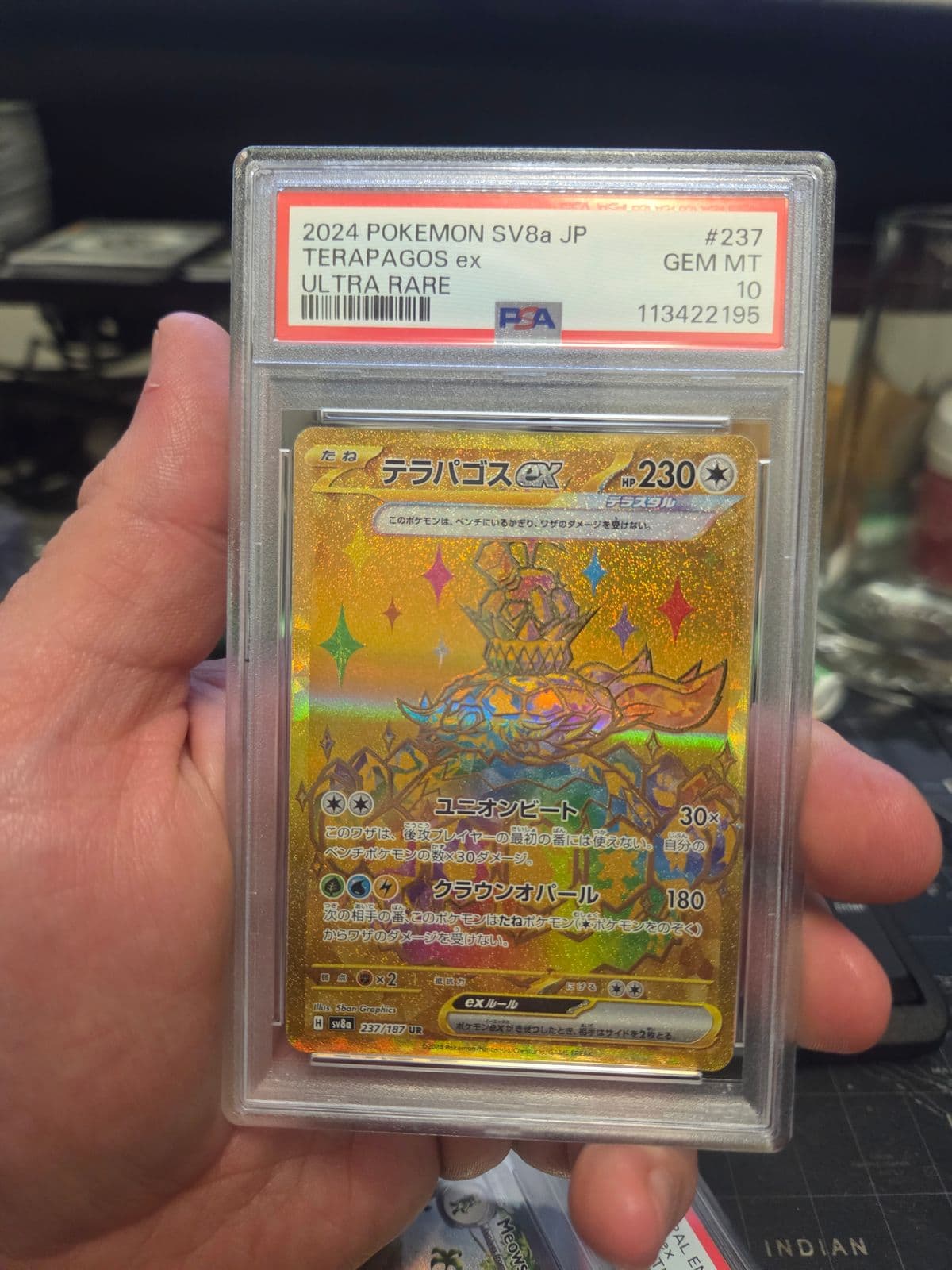 Slabs English and japanese